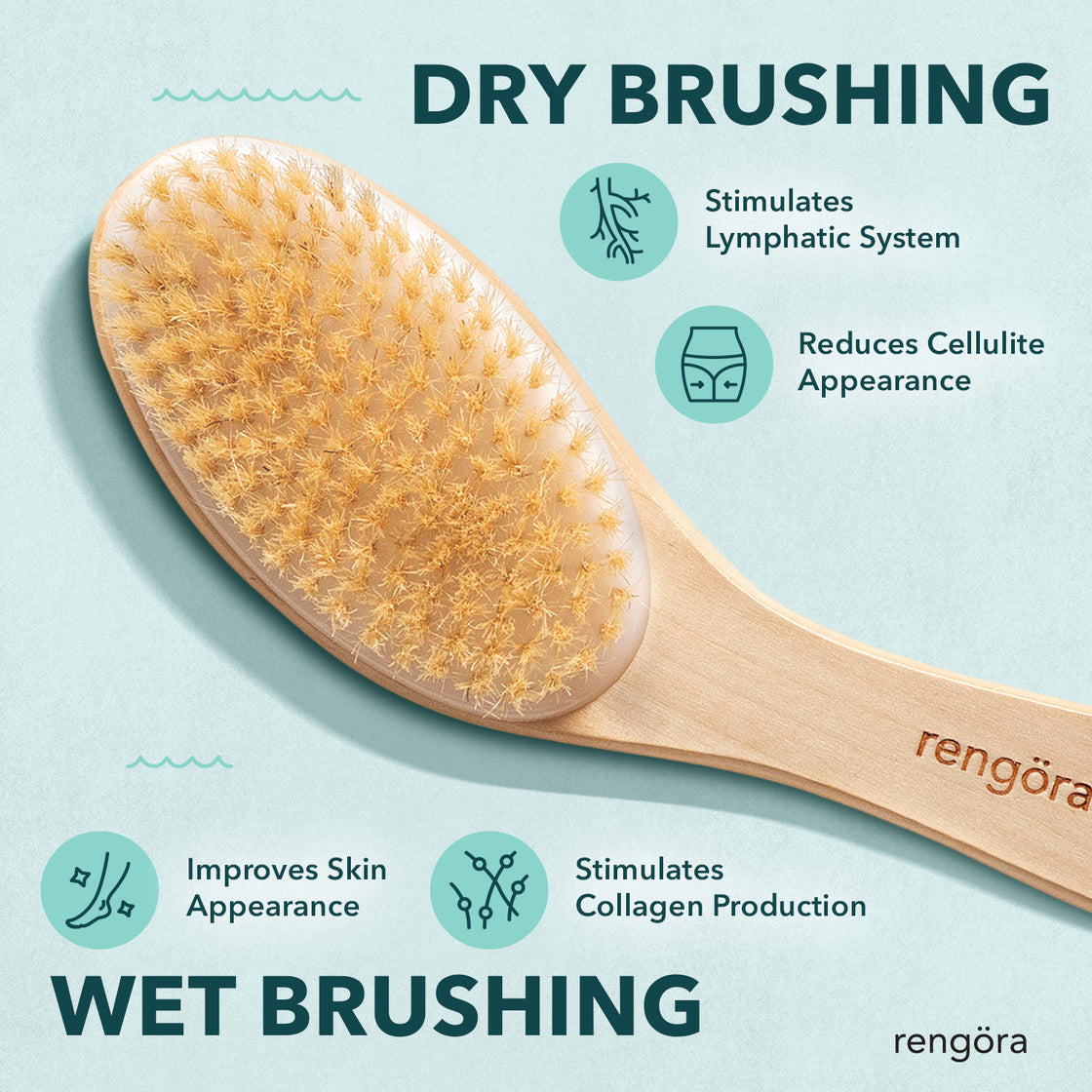 engöra long-handle dry brush with callouts comparing dry and wet brushing benefits, including lymphatic stimulation, cellulite reduction, improved skin tone, and collagen boost.
