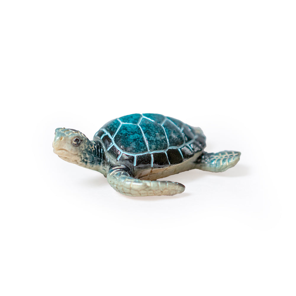 A detailed view of a Rengora sea turtle magnet against a simple white backdrop