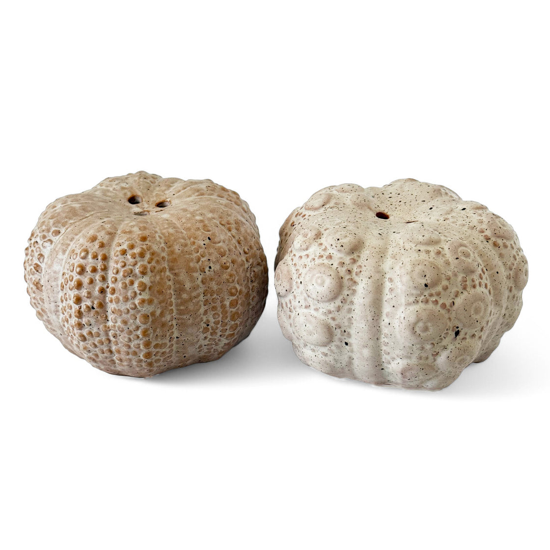Pair of ceramic sea urchin decorative salt and pepper shakers in natural beige tones, showcasing detailed textures on a clean white background.