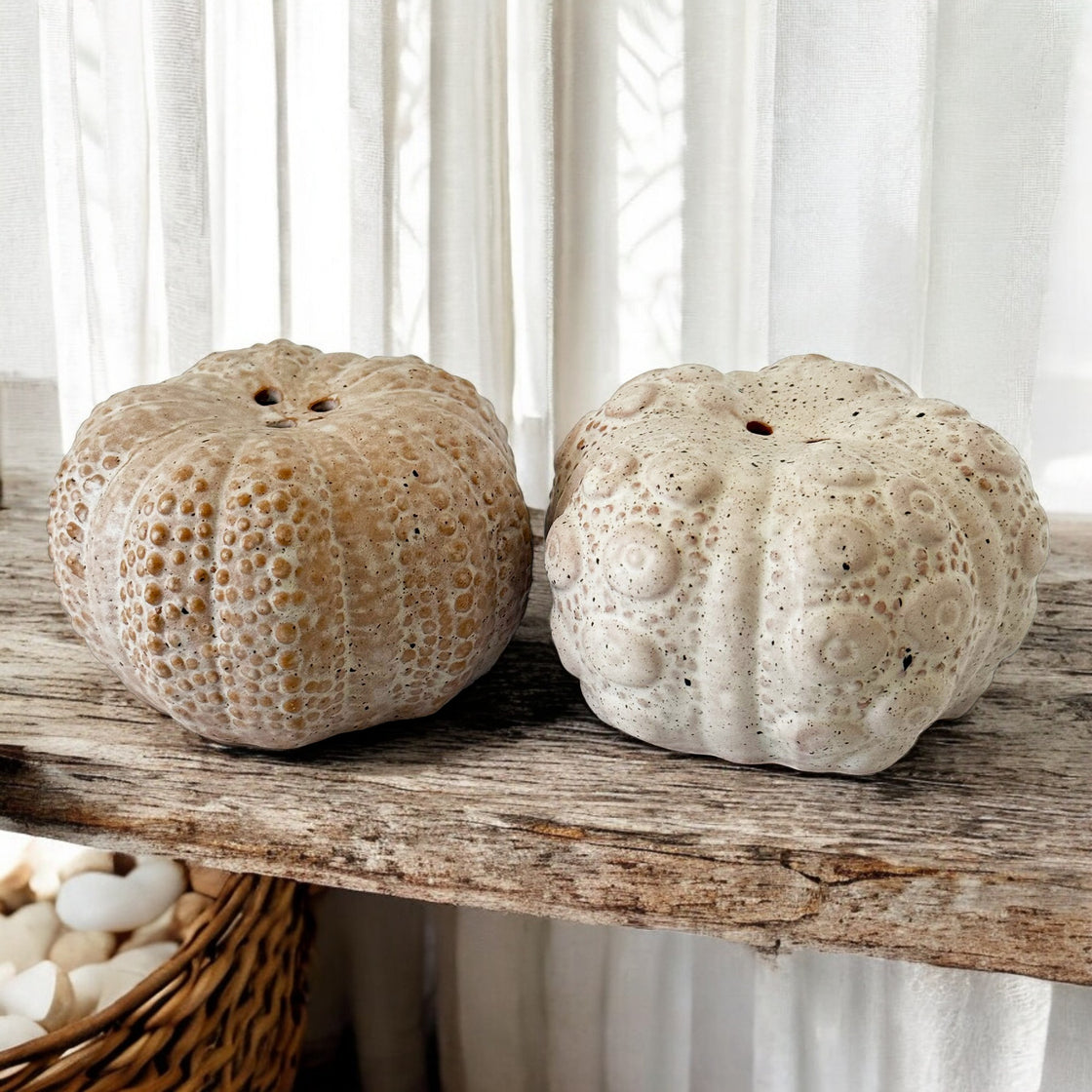 Two neutral-colored, handmade ceramic sea urchins placed elegantly on a rustic wooden shelf against a soft, airy curtain background.