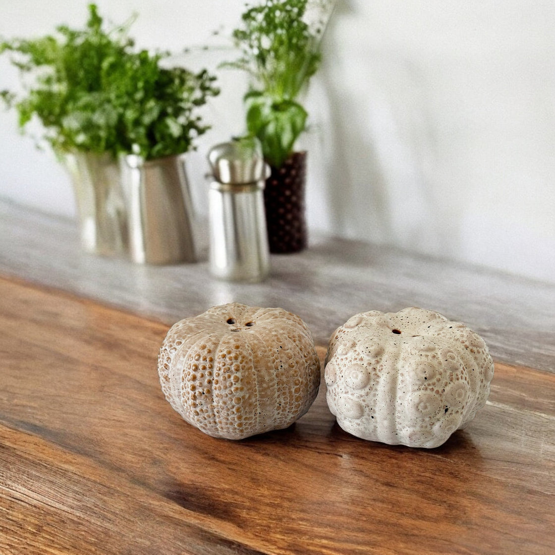 A close-up of the sea urchin salt and pepper shakers resting on a rustic wooden table. The background features stainless steel spice containers and fresh green herbs, adding an organic and modern touch to the composition.