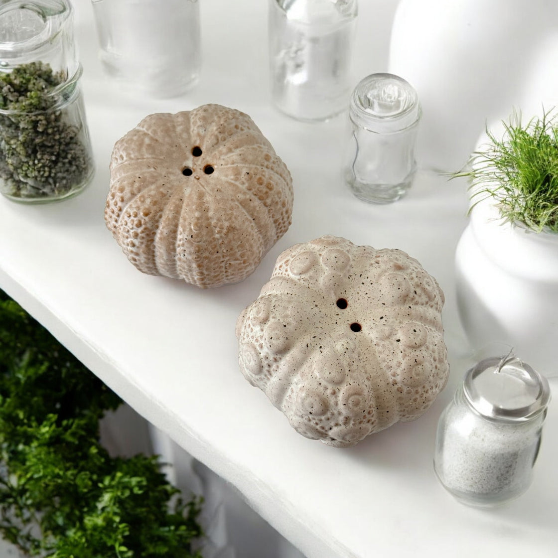 A pair of ceramic salt and pepper shakers designed to resemble sea urchins, placed on a white kitchen countertop. They are surrounded by glass jars filled with herbs, salt, and pepper, along with green plants in the background, creating a fresh and natural setting.