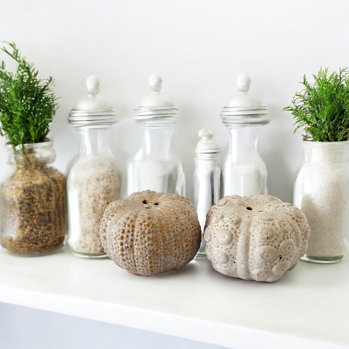 Two sea urchin-shaped ceramic salt and pepper shakers sit on a white shelf, accompanied by vintage glass spice jars with white lids and a small potted green plant. The neutral tones and soft lighting create a serene, coastal-inspired aesthetic.