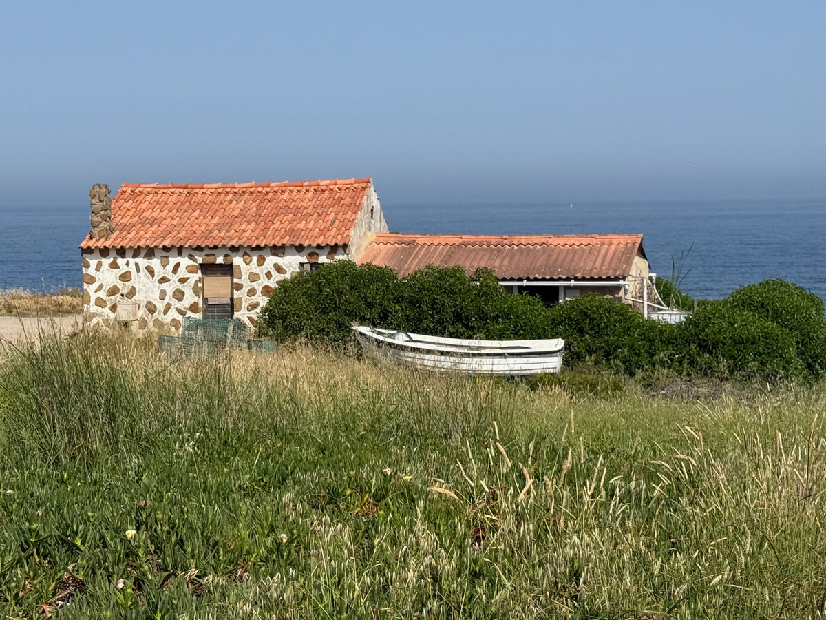 A Few More Moments from Portugal