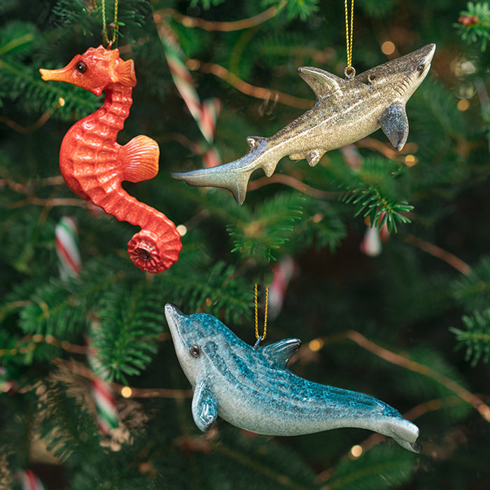 Sea Life Celebration: Shark, Seahorse, and Dolphin Bundle