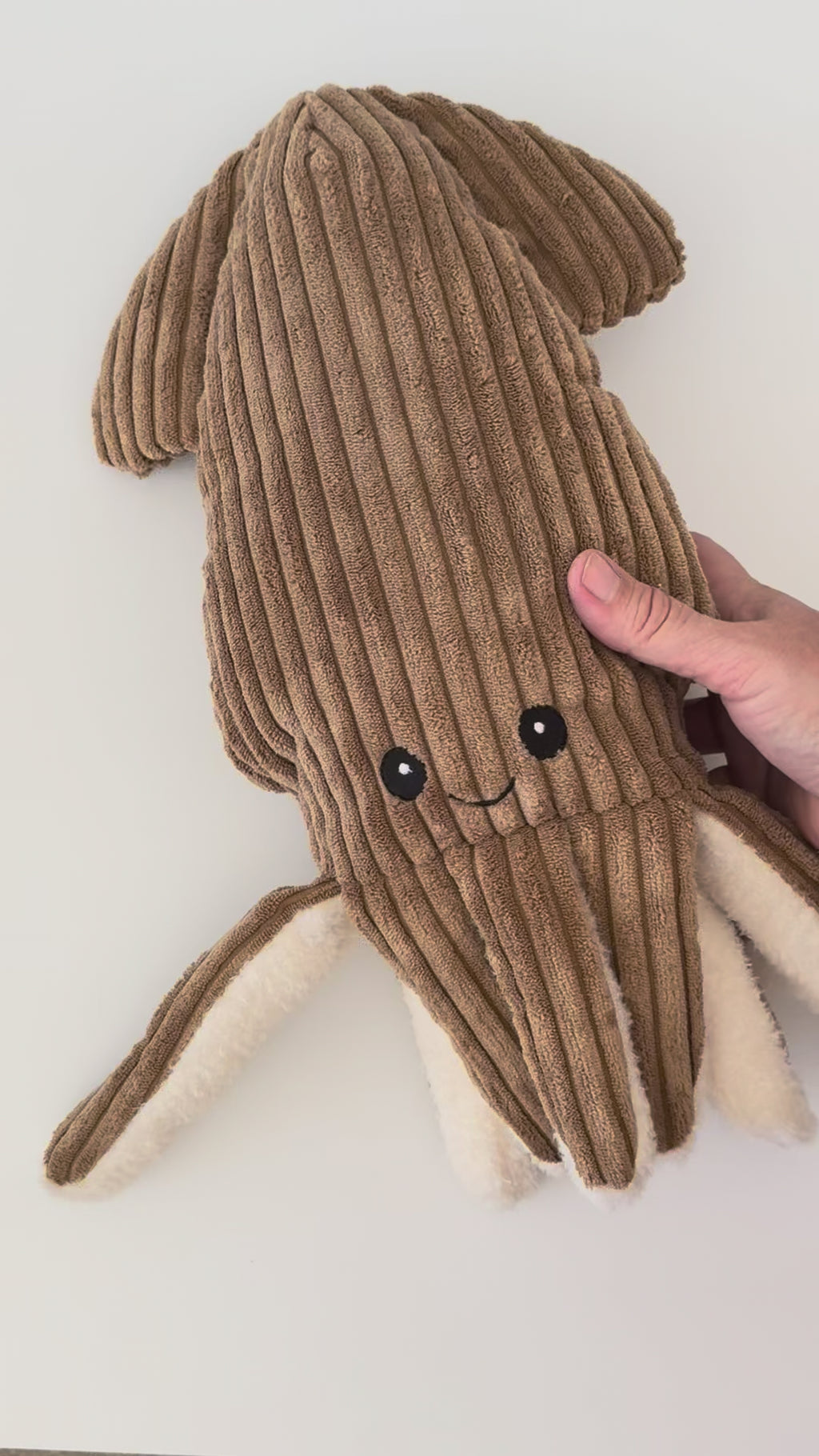 short movie showing both sides of squid plush animal with cute smile.