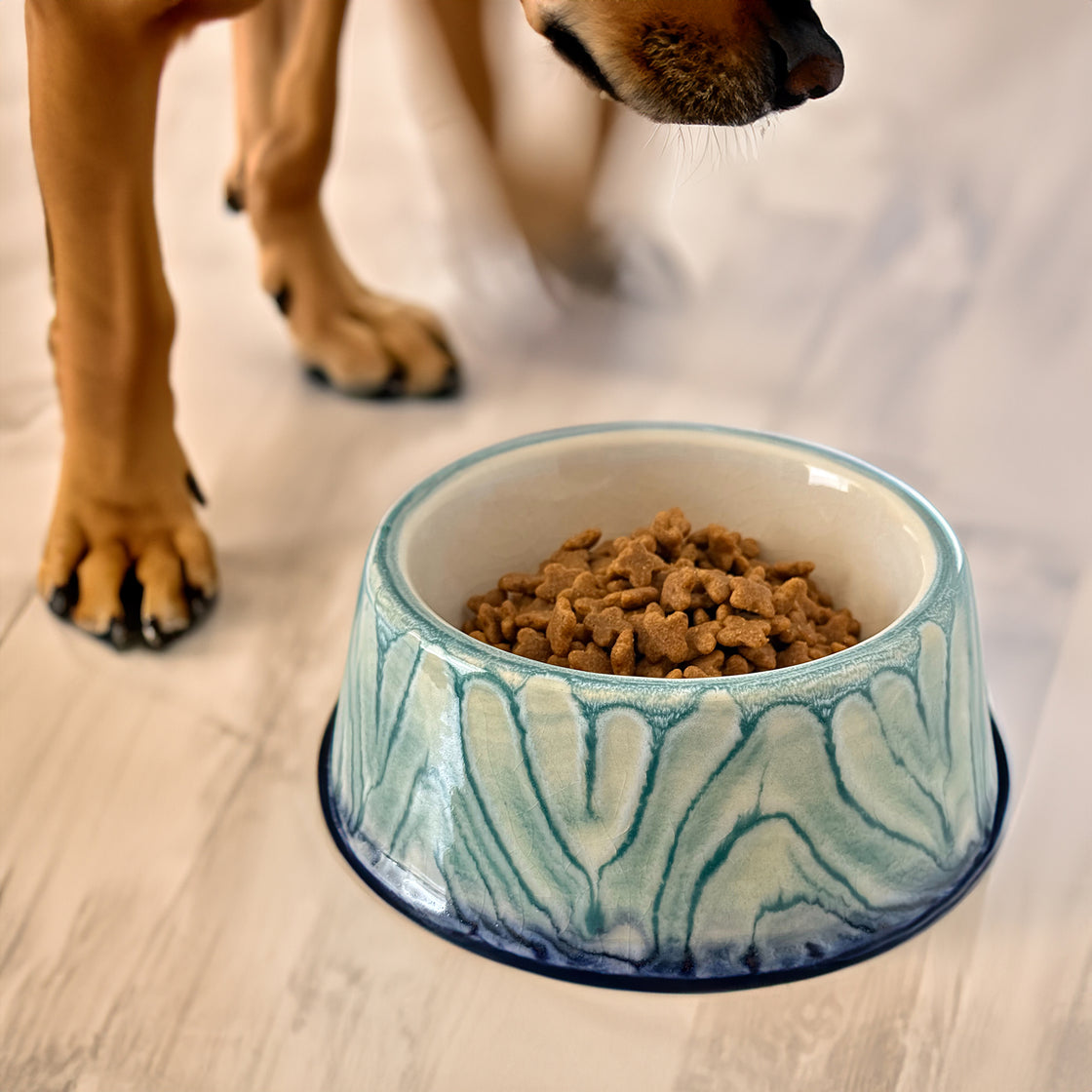 A dog approaching a blue ceramic dog bowl filled with food, placed on a light-colored floor, showing its elegant design and pet-friendly size.