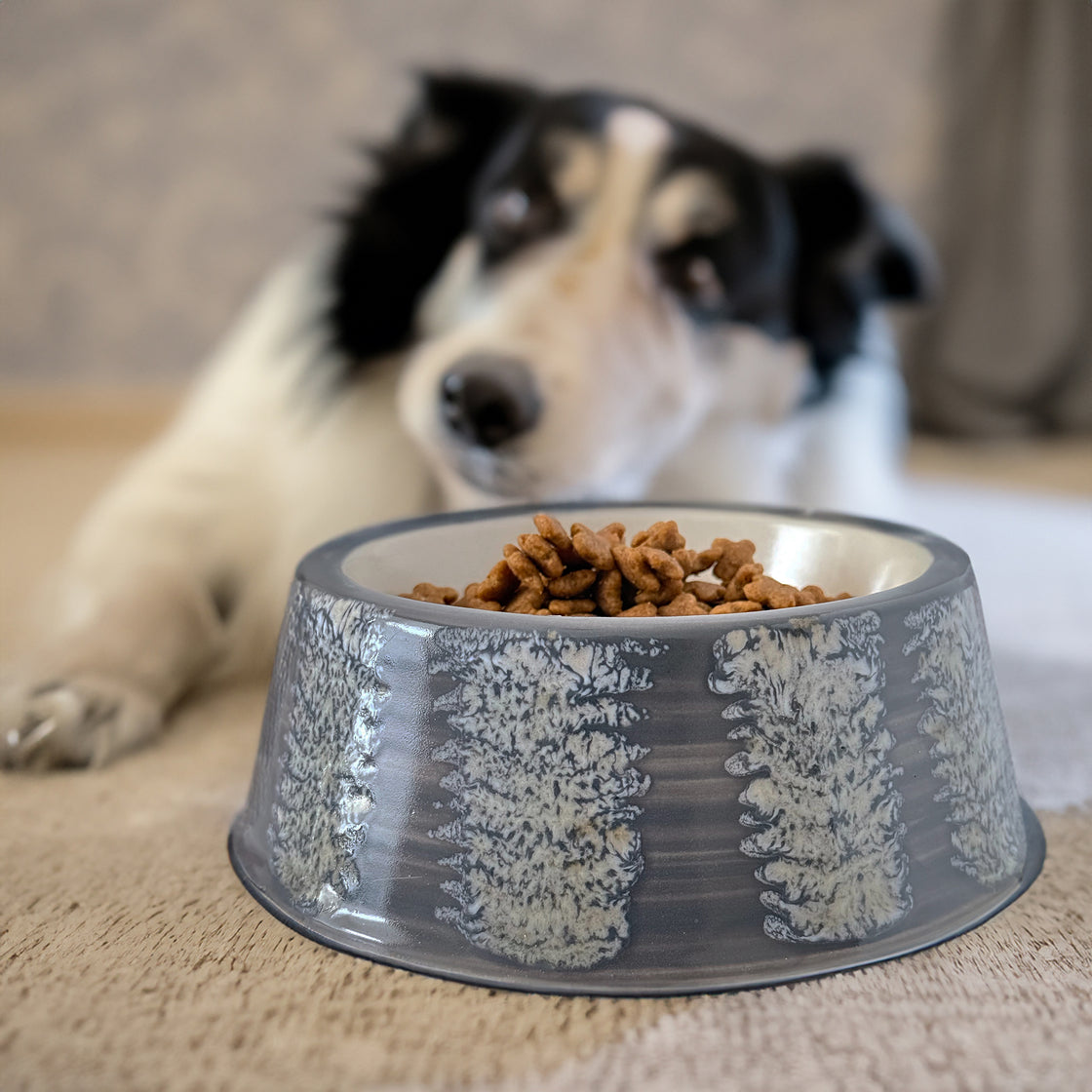 A gray ceramic dog bowl with a textured white glaze pattern, filled with food, placed on a wooden floor near a modern home setting.