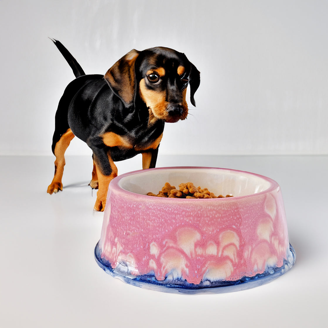 A small black dog standing next to a rengöra pink ceramic dog bowl filled with food.