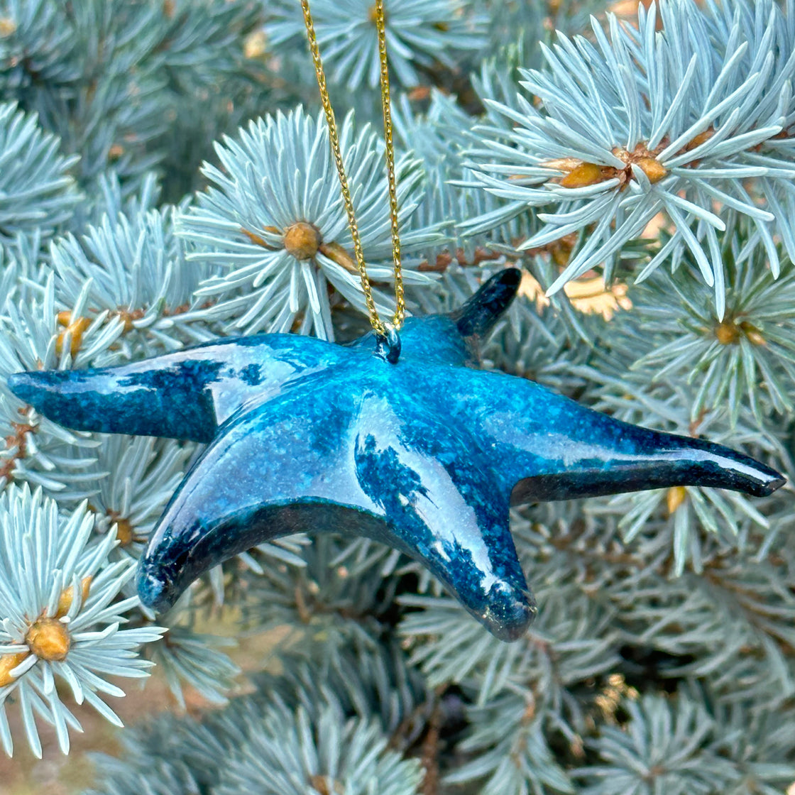 rengora blue starfish Christmas tree ornament hanging elegantly on a blue spruce tree
