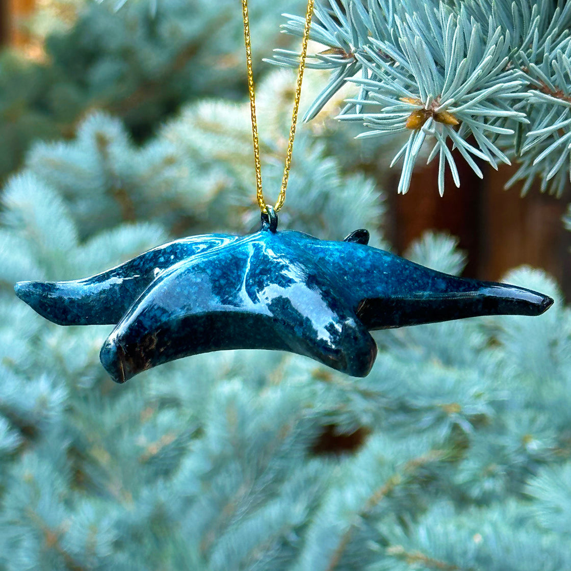 rengora Blue starfish Christmas tree ornament hanging from a branch