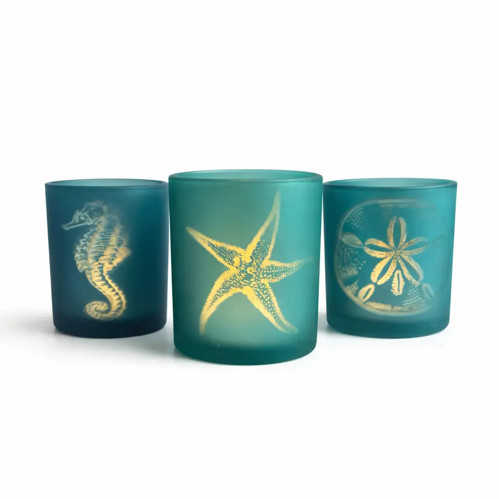 Three teal glass holders with  sea creature designs on a white background