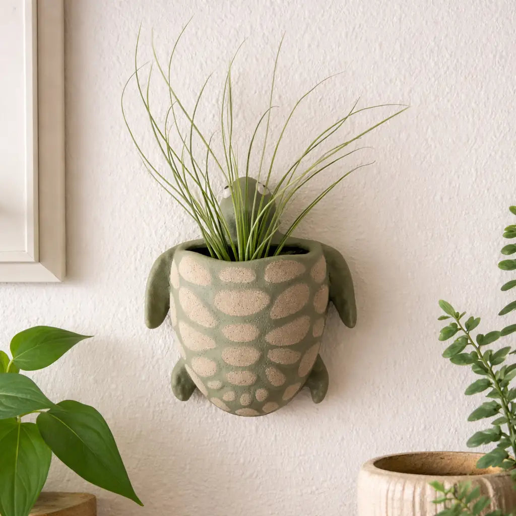 Wall-mounted plant holder with a plant on a white wall