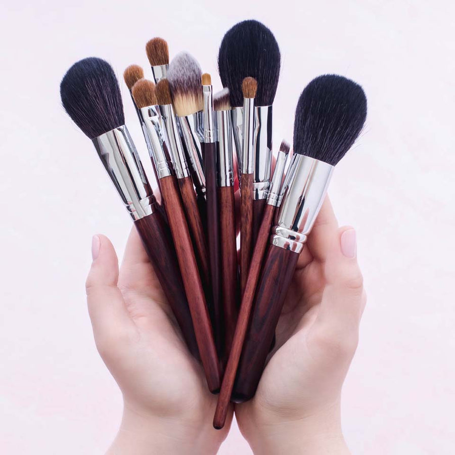 Professional Makeup Brush Set: Elevate Your Beauty Routine (12 Pc)