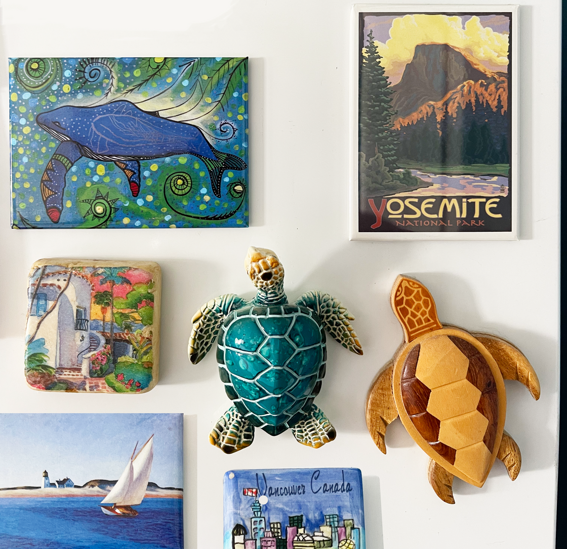 Add this adorable sea turtle magnet into your nautical collections